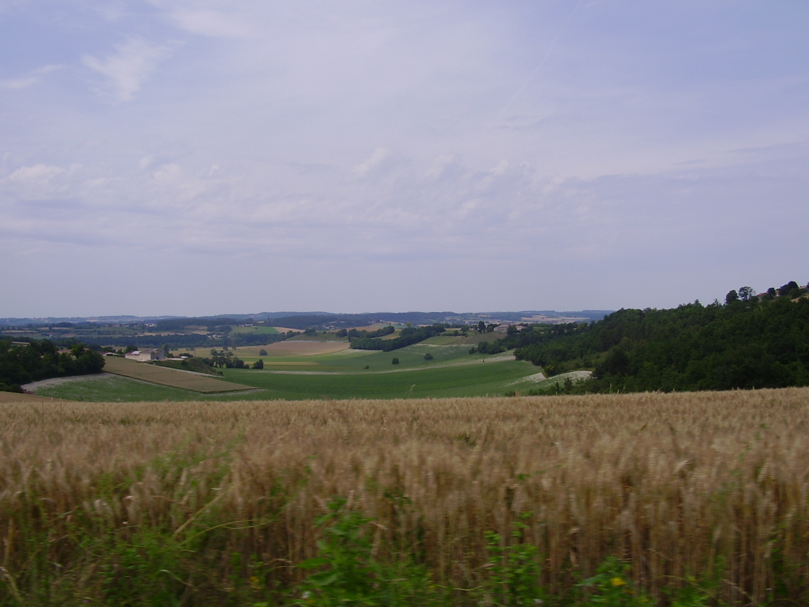region of cognac